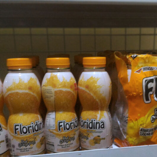 FLORIDINA FLORIDA ORANGE 350ML 8998866500708
