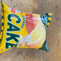 Go-Day Custard CAKE 8994465100011